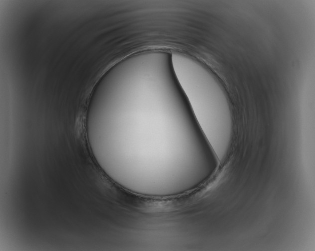 X0000089881369200706281041