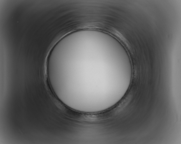 X0000089881370200706281041