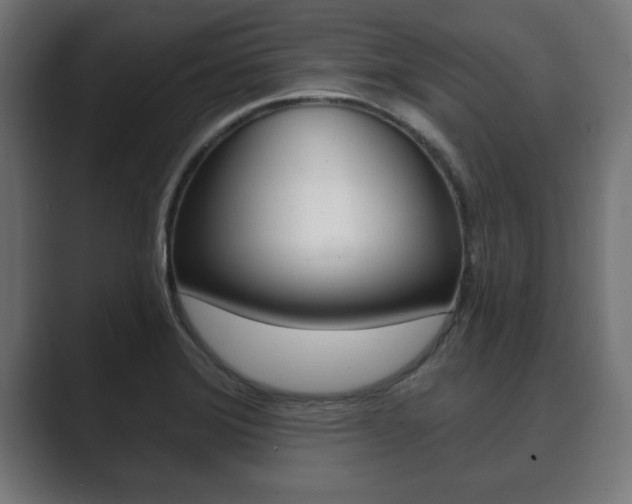 X0000089881372200706281041