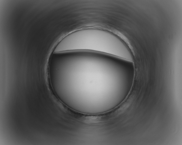 X0000089881373200706281041