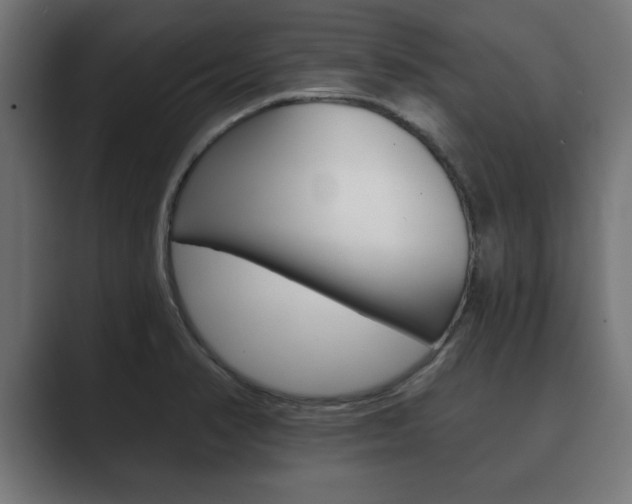 X0000089881374200706281041