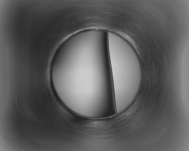X0000089881375200706281041