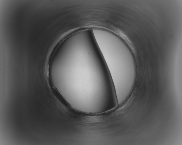 X0000089881376200706281041