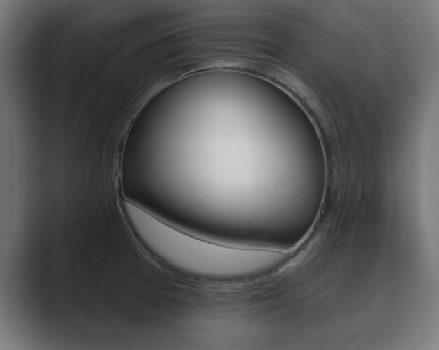 X0000089881377200706281041