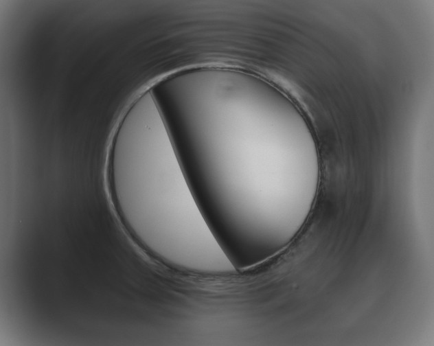 X0000089881379200706281041