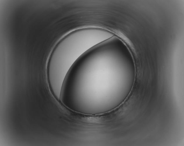 X0000089881380200706281041