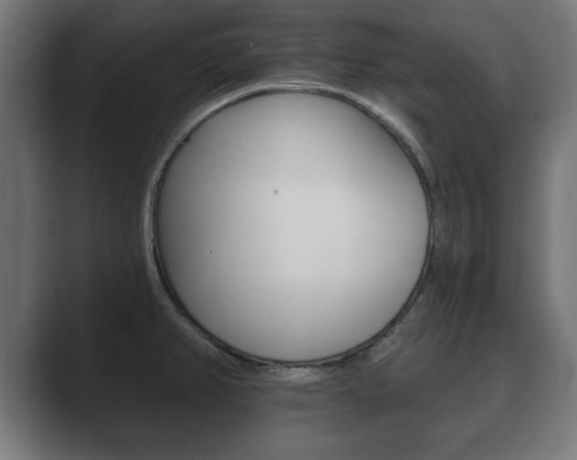 X0000089881382200706281041
