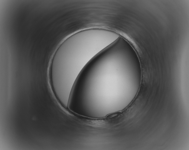 X0000089881383200706281041