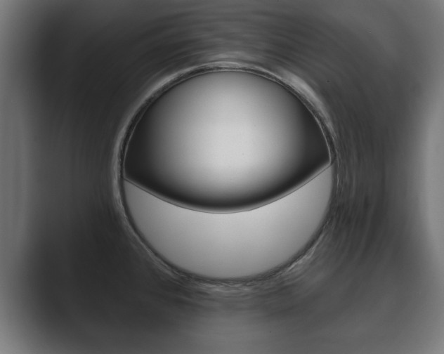 X0000089881384200706281041