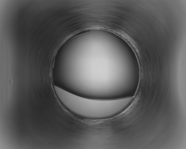 X0000089881385200706281041
