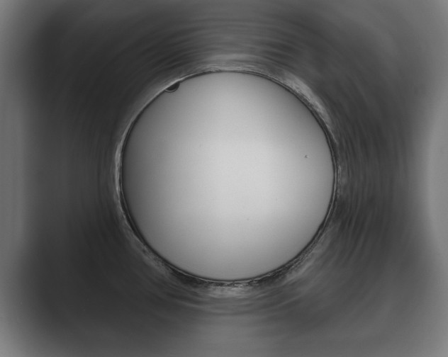 X0000089881386200706281041