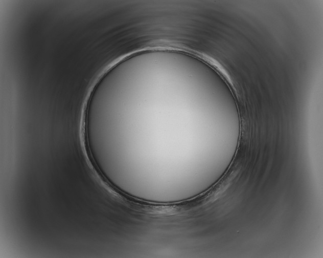 X0000089881387200706281041