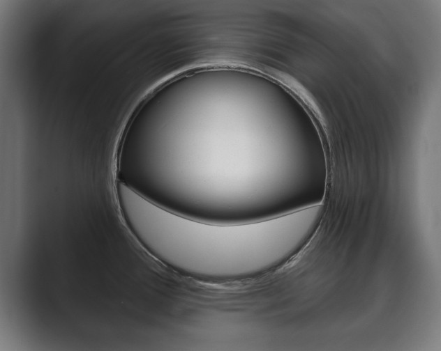 X0000089881388200706281041