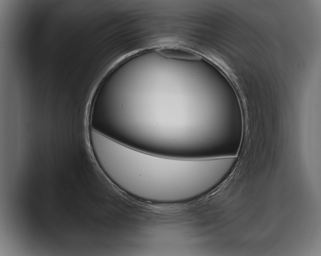 X0000089881392200706281041
