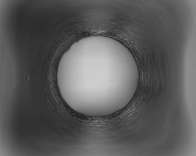 X0000089881393200706281040
