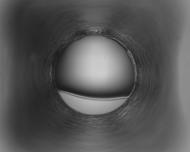 X0000089881394200706281040