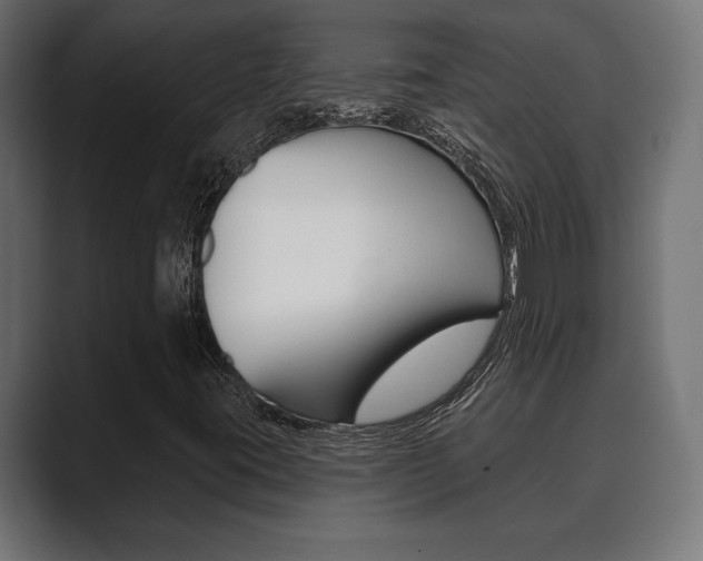 X0000089881395200706281041