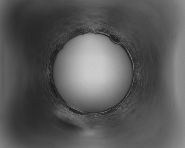 X0000089881397200706281041