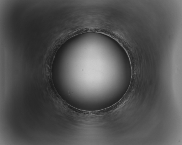 X0000089881398200706281041