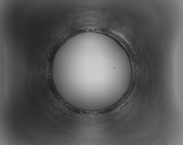 X0000089881399200706281041