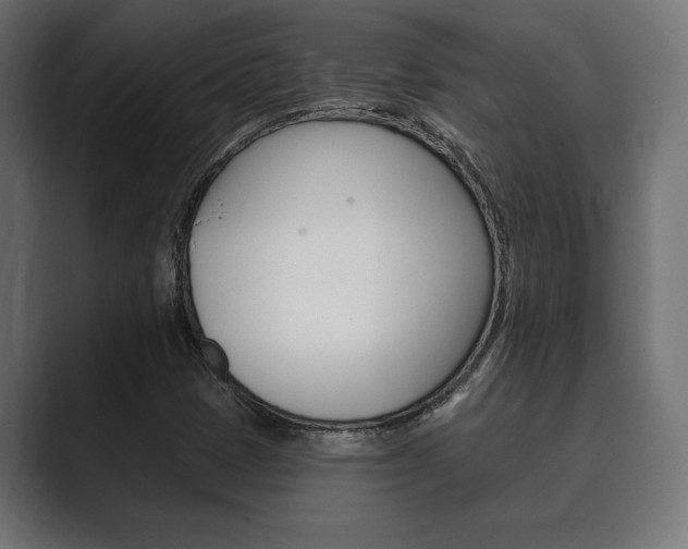 X0000089881401200706281041