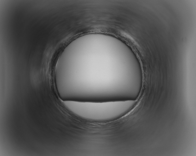 X0000089881403200706281041