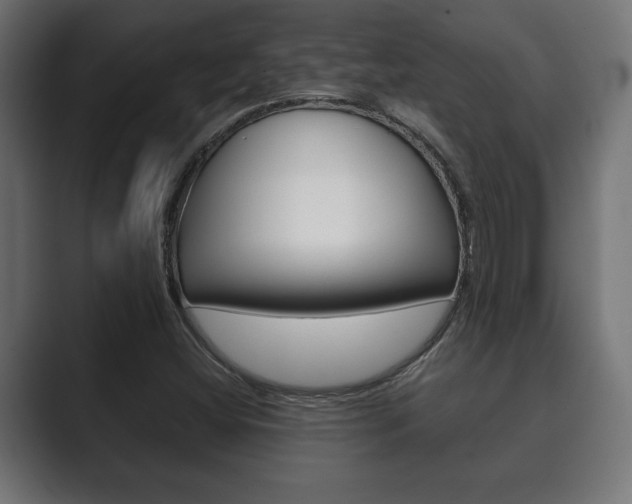 X0000089881404200706281041
