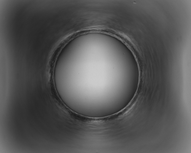 X0000089881406200706281041