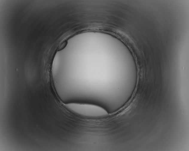 X0000089881409200706281041