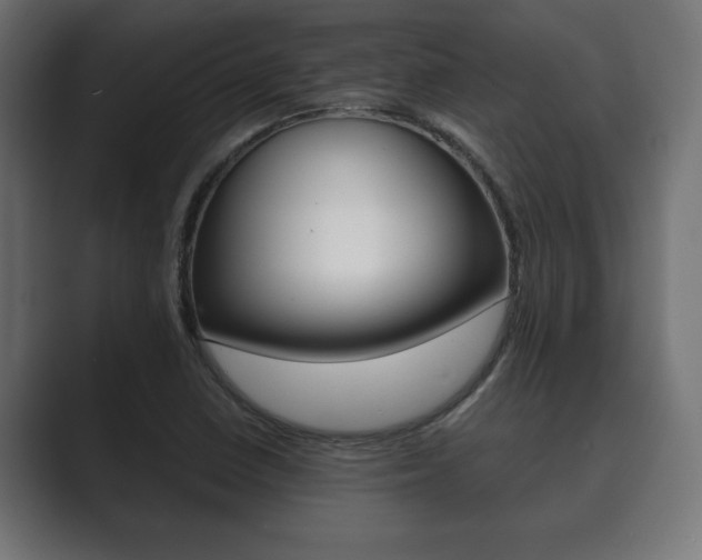 X0000089881410200706281041