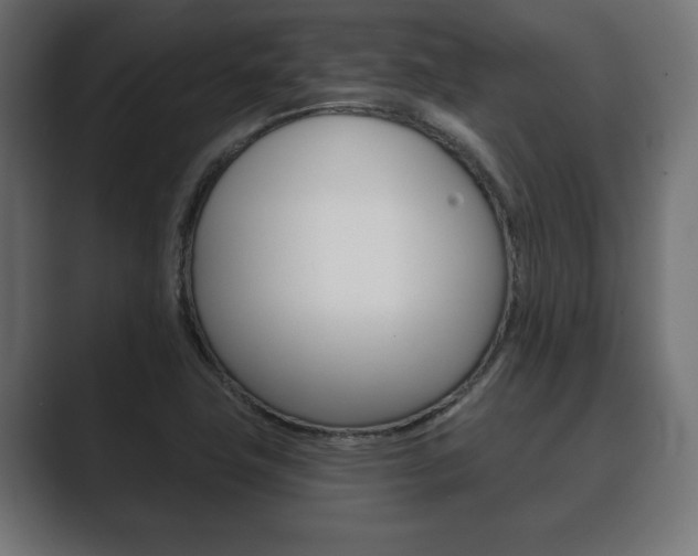 X0000089881411200706281041