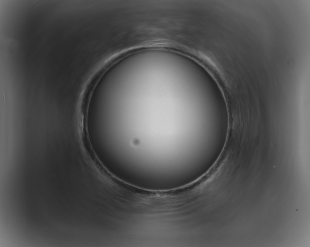 X0000089881414200706281041