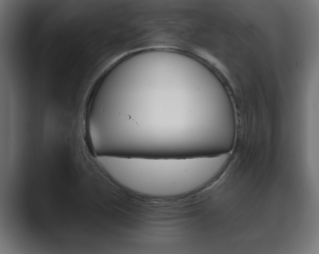 X0000089881415200706281041