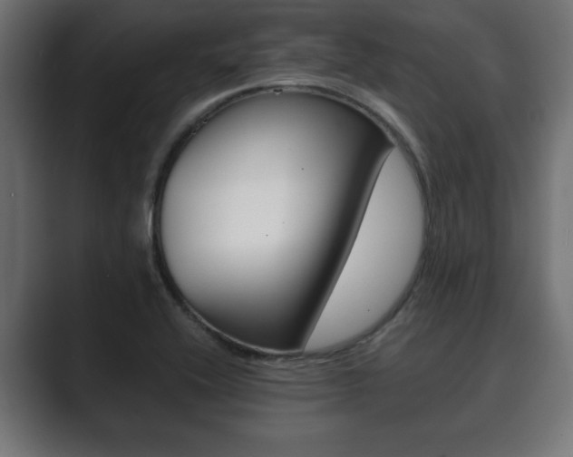 X0000089881416200706281041