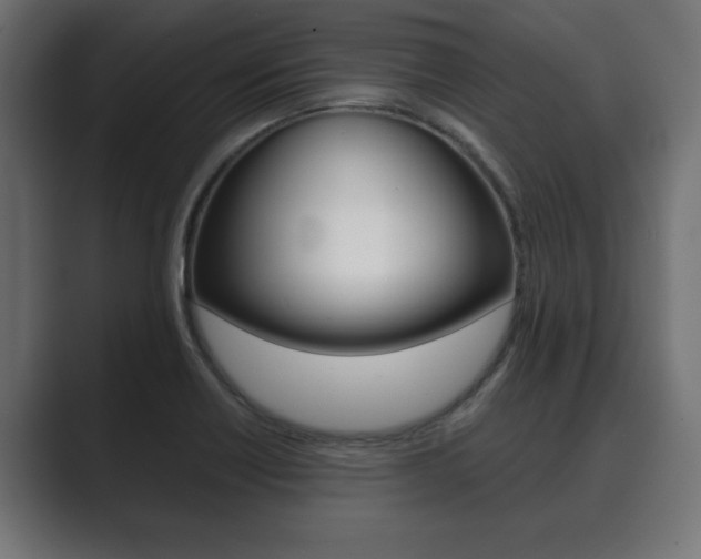 X0000089881418200706281041