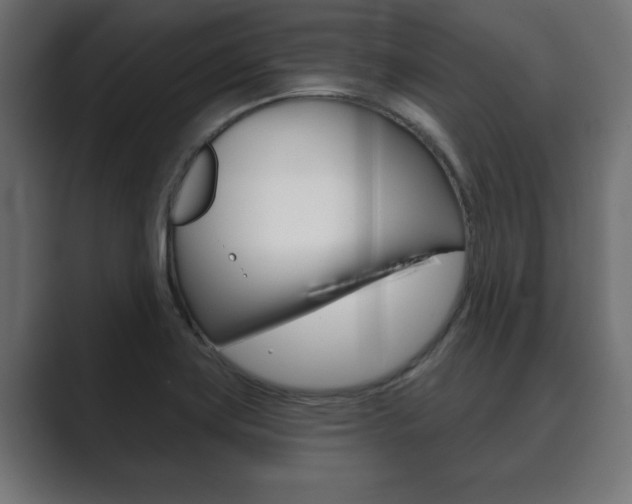X0000089881419200706281041
