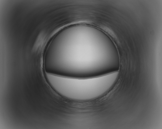 X0000089881420200706281041