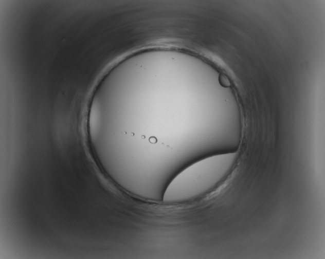 X0000089881421200706281041