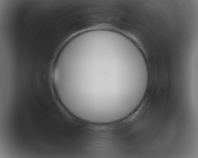 X0000089881422200706281041