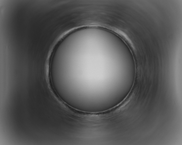 X0000089881424200706281041