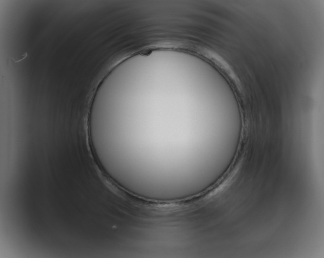 X0000089881425200706281041