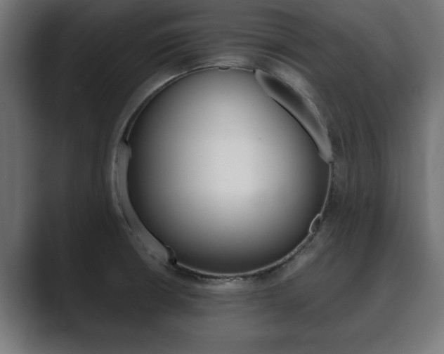 X0000089881426200706281041