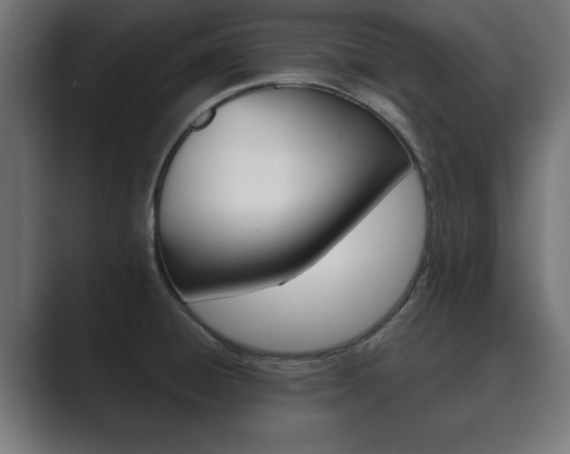 X0000089881428200706281041