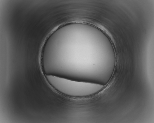 X0000089881429200706281041