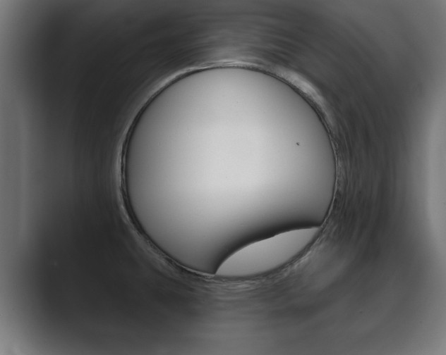 X0000089881431200706281041