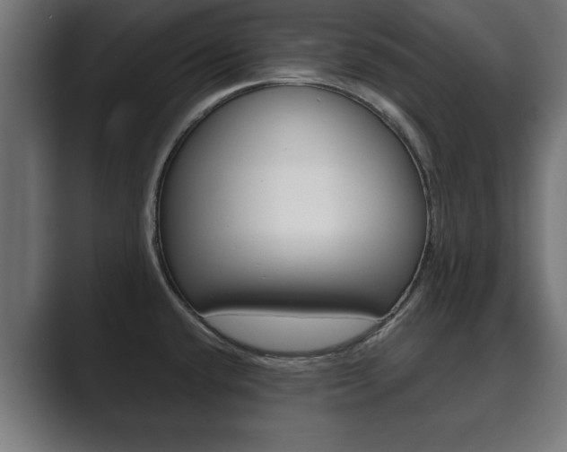 X0000089881432200706281041