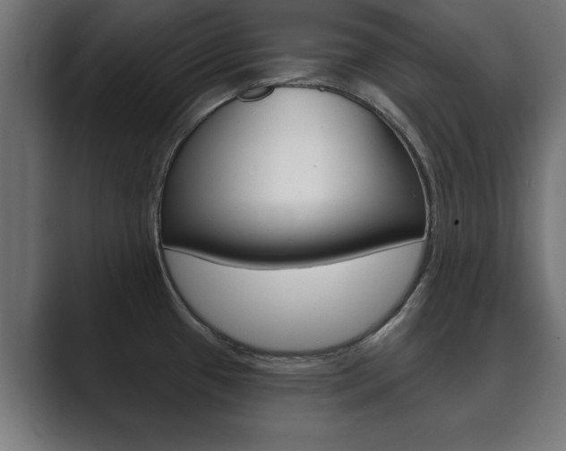 X0000089881433200706281041