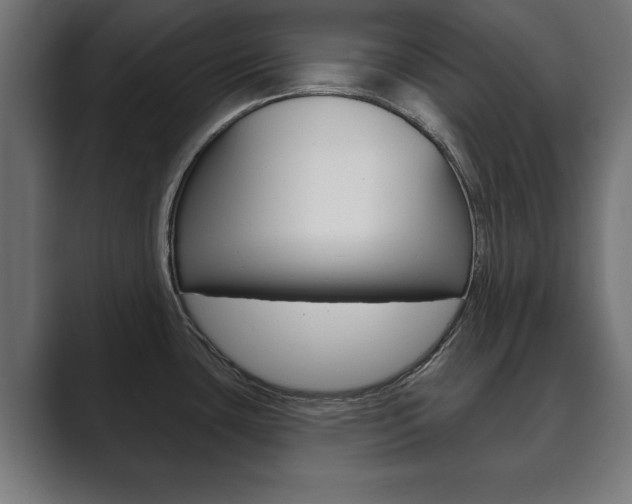X0000089881435200706281041