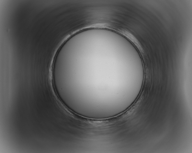 X0000089881436200706281041