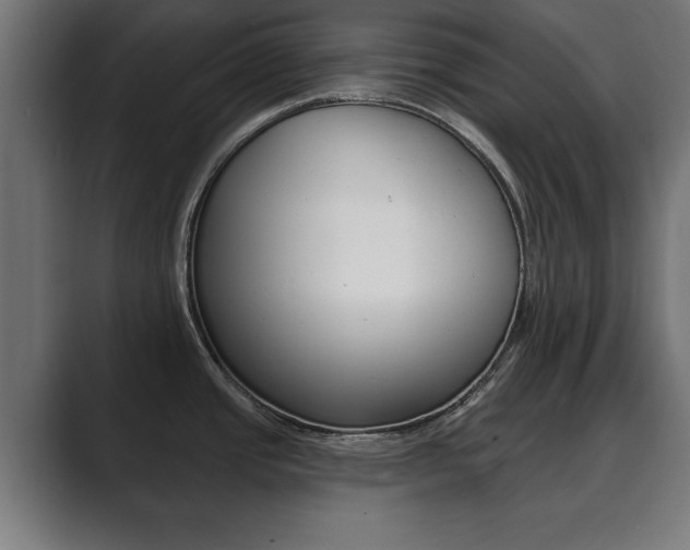 X0000089881437200706281041